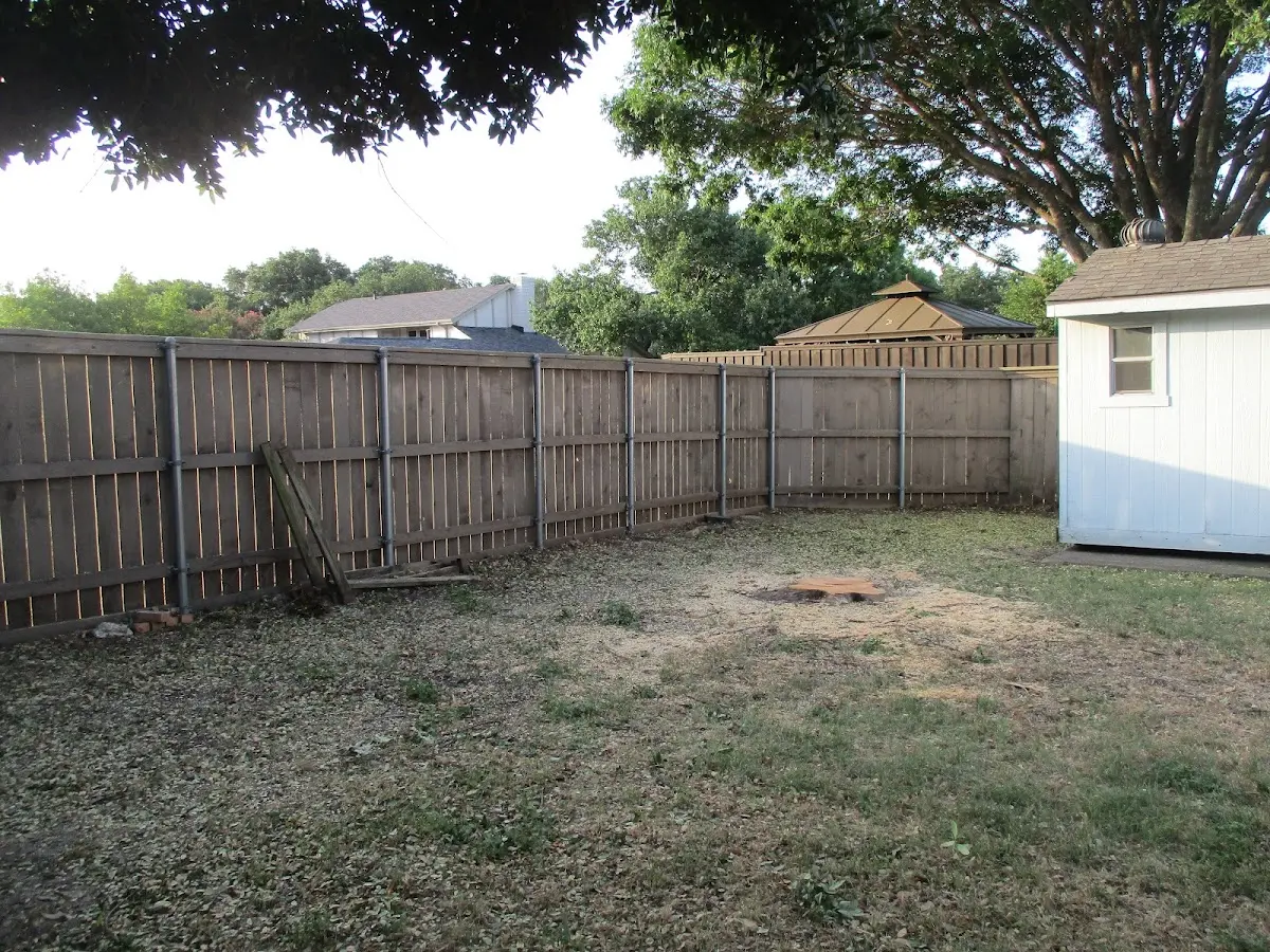 Cleared yard after professional tree removal in Salamonia